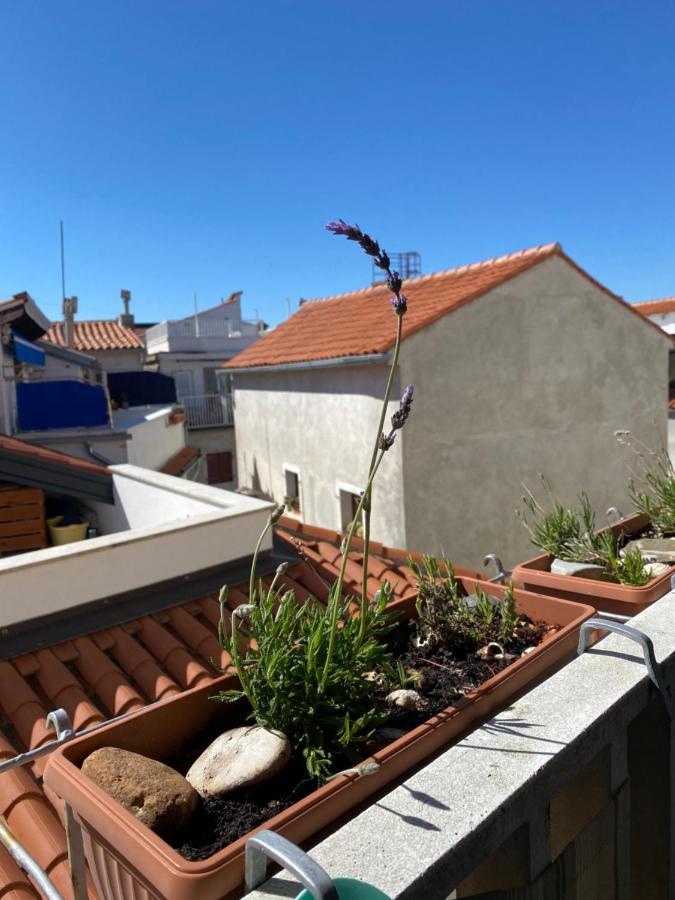 Lucy Apartment Piran-Punta Bagian luar foto